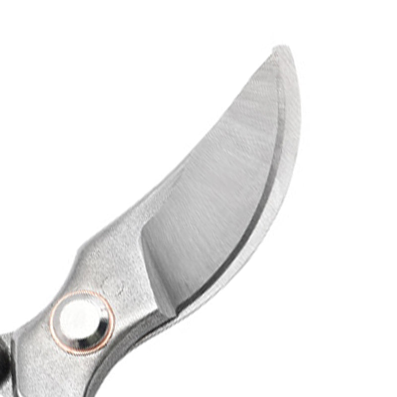 Horticultural branch pruner; Garden scissors; Fruit tree pruning shears