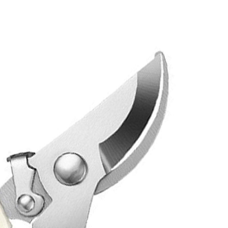 Stainless steel garden pruning shears ¨C straight-head and elbow-head design