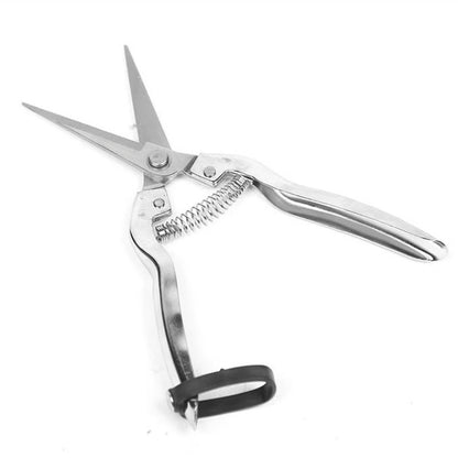 Stainless steel straight-end pruning shears ¨C ideal for harvesting fruits and vegetables or for general gardening tasks