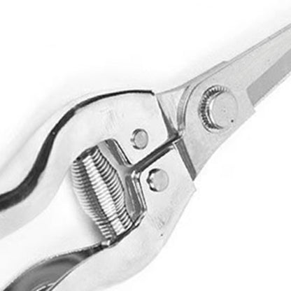 Stainless steel straight-end pruning shears ¨C ideal for harvesting fruits and vegetables or for general gardening tasks