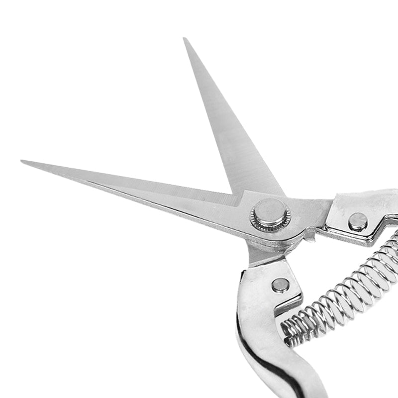Stainless steel straight-end pruning shears ¨C ideal for harvesting fruits and vegetables or for general gardening tasks
