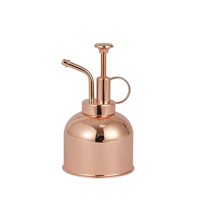 Stainless steel garden watering can, indoor spray bottle, manual watering can, mini plant watering sprayer, garden sprayer