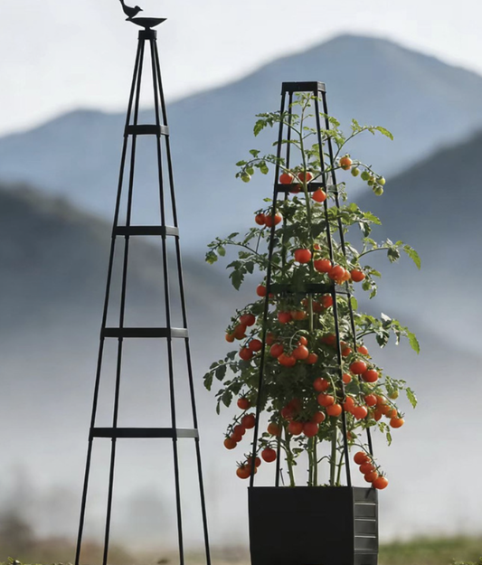 Planting basket for rose cultivation; simple assembly of garden trellises and climbing frames ¨C hydrangea climbing frame
