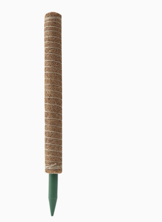 Monstera Support Stake / Pothos Climbing Pole