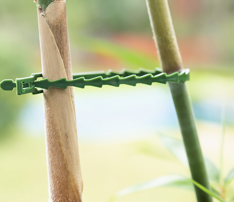 Serrated Plastic Cable Ties