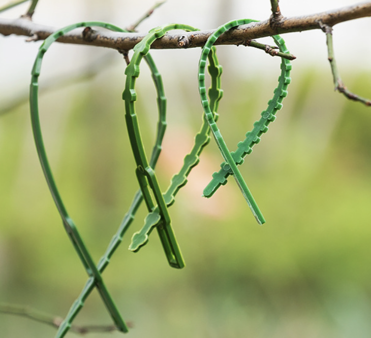 Serrated Plastic Cable Ties