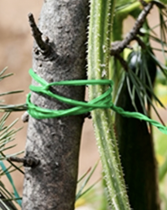 Garden Twist Ties with Built-in Cutter